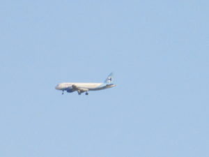 VOLARIS TREN DE ATERRIZAJE