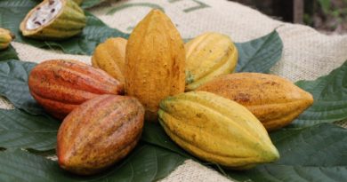 Ferrero acelera su agenda ESG con innovación, agricultura responsable y compromiso con las comunidades agrícolas mexicanas