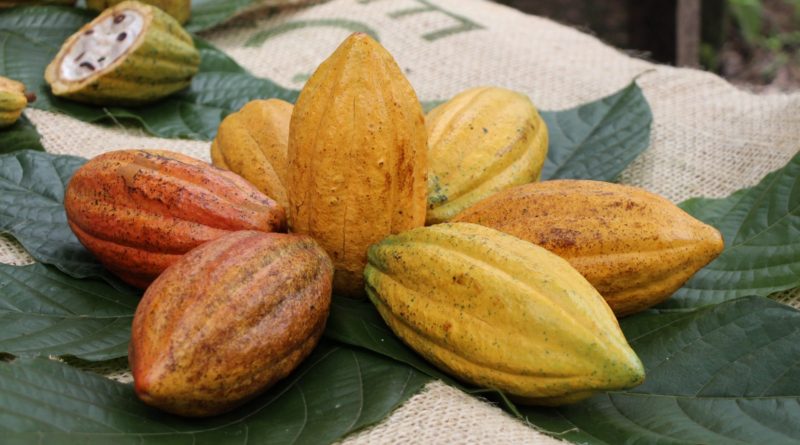 Ferrero acelera su agenda ESG con innovación, agricultura responsable y compromiso con las comunidades agrícolas mexicanas