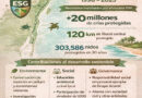 Más de 20 millones de tortugas protegidas en 30 años con el apoyo de Grupo Xcaret