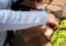 Cheaf abre tiendas físicas para dar segunda vida a los alimentos Cheaf abre tiendas físicas para dar segunda vida a los alimentos