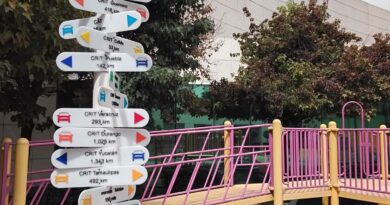 Toyota y Teletón suman 11 años de alianza para impulsar movilidad más inclusiva Toyota y Teletón suman 11 años de alianza para impulsar movilidad más inclusiva